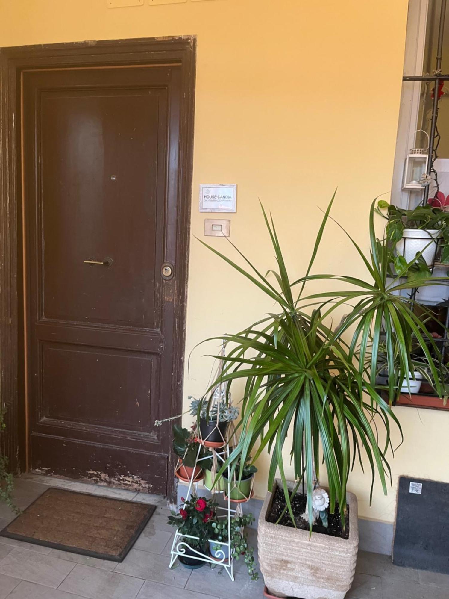 House Candia 111 - Vatican Museum Apartment Roma Exterior foto